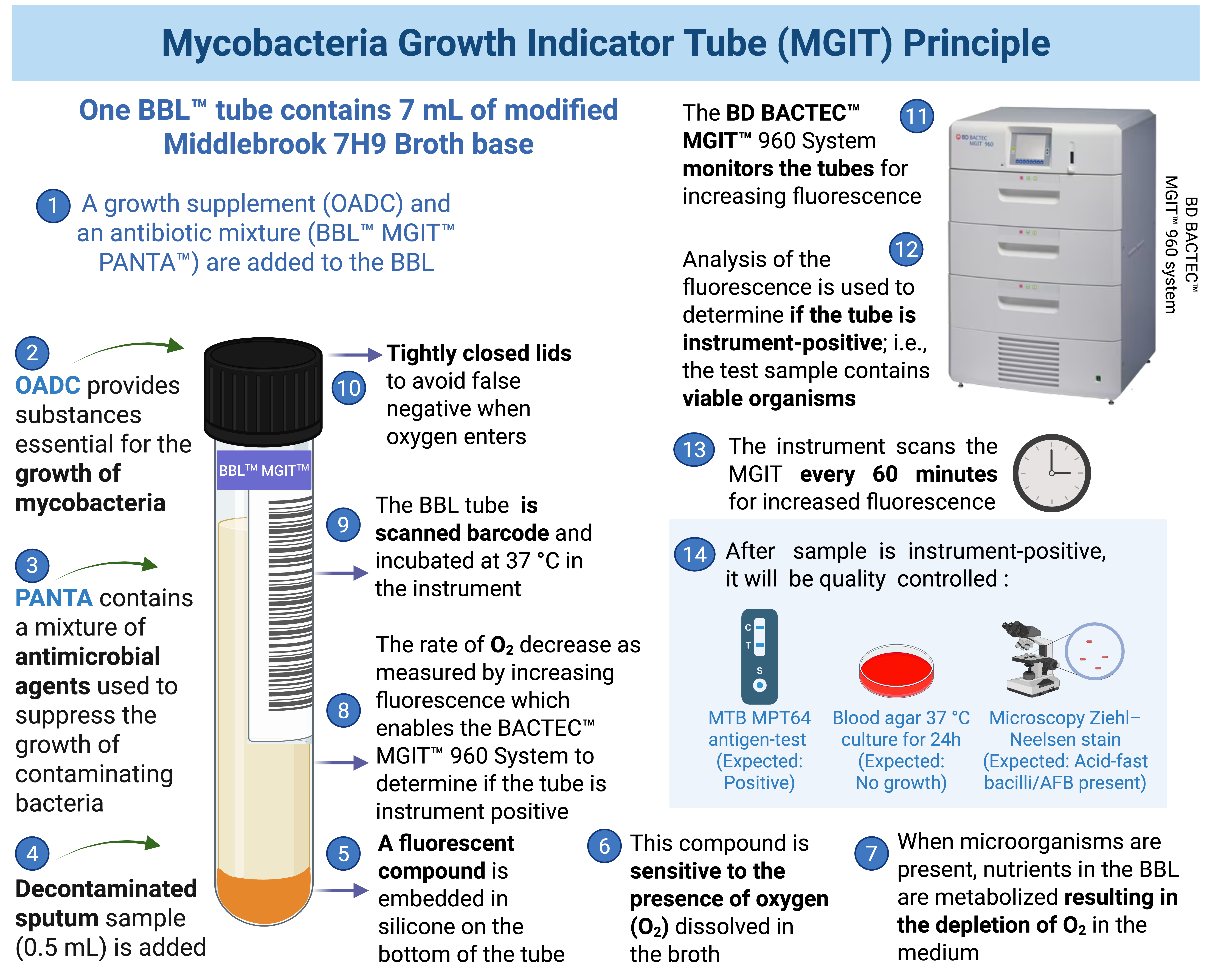 MGIT Working Principle